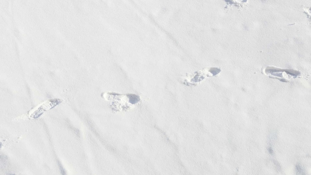 雪の上に残った足跡の写真